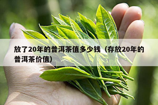 放了20年的普洱茶值多少钱（存放20年的普洱茶价值）