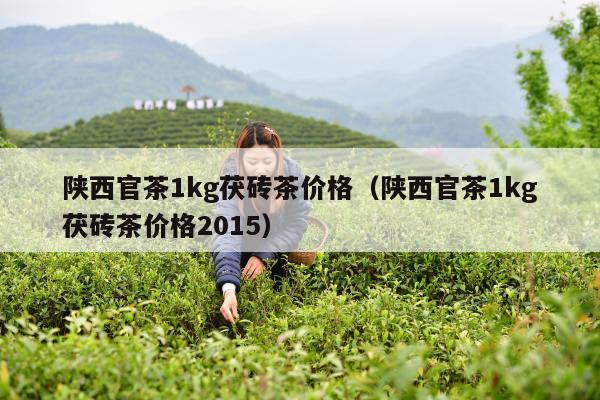 陕西官茶1kg茯砖茶价格（陕西官茶1kg茯砖茶价格2015）