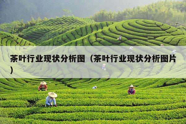 茶叶行业现状分析图（茶叶行业现状分析图片）