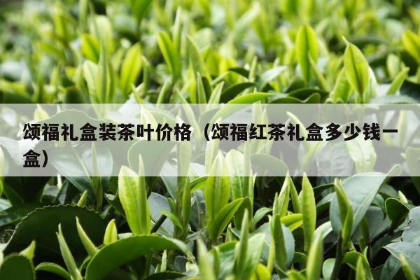 颂福礼盒装茶叶价格（颂福红茶礼盒多少钱一盒）