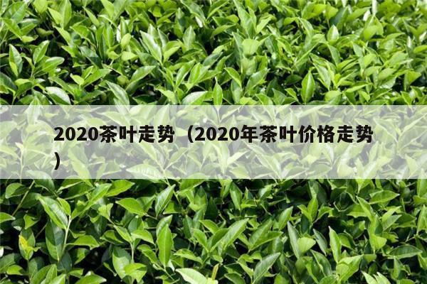 2020茶叶走势（2020年茶叶价格走势）