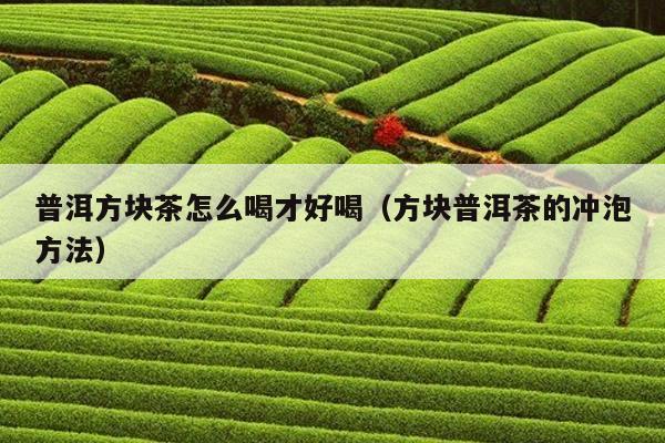 普洱方块茶怎么喝才好喝（方块普洱茶的冲泡方法）