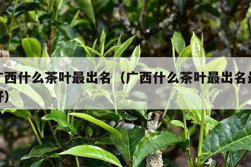 广西什么茶叶最出名（广西什么茶叶最出名最好）