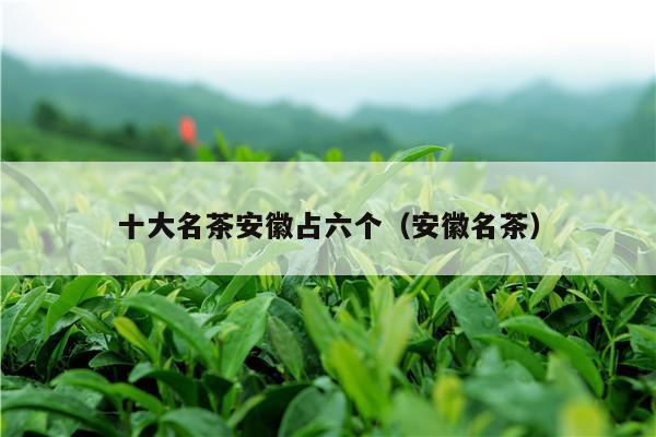 十大名茶安徽占六个（安徽名茶）