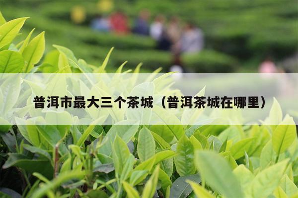 普洱市最大三个茶城（普洱茶城在哪里）