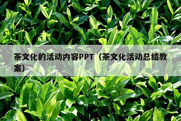 茶文化的活动内容PPT（茶文化活动总结教案）