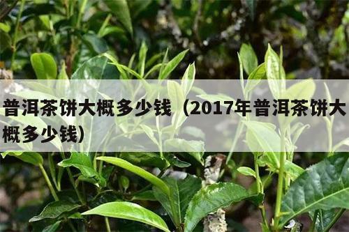 普洱茶饼大概多少钱（2017年普洱茶饼大概多少钱）