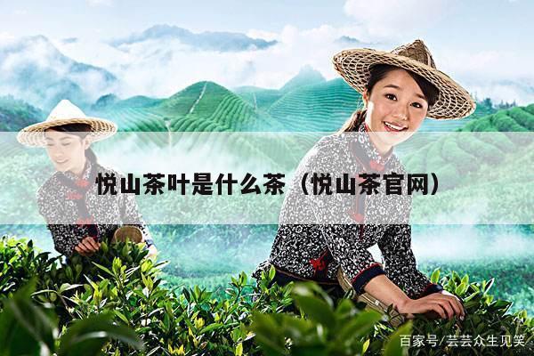 悦山茶叶是什么茶（悦山茶官网）