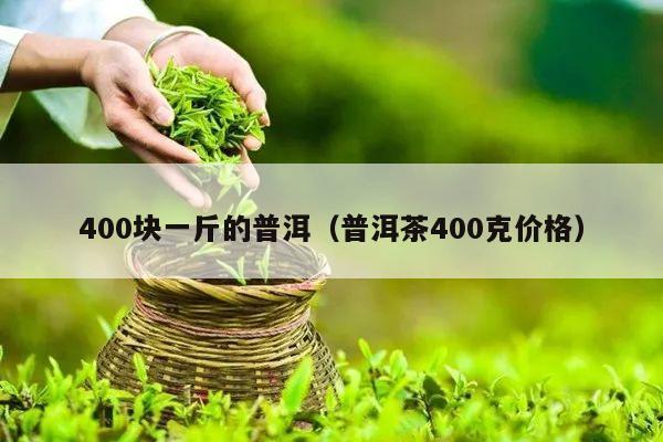 400块一斤的普洱（普洱茶400克价格）