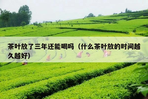 茶叶放了三年还能喝吗（什么茶叶放的时间越久越好）