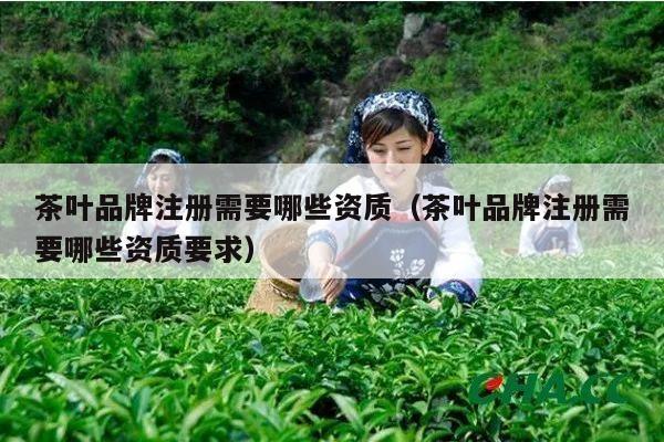 茶叶品牌注册需要哪些资质（茶叶品牌注册需要哪些资质要求）