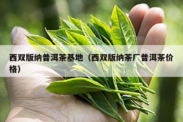 西双版纳普洱茶基地（西双版纳茶厂普洱茶价格）