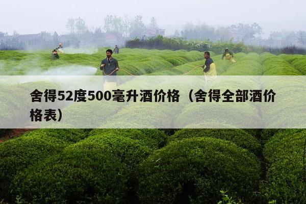 舍得52度500毫升酒价格（舍得全部酒价格表）