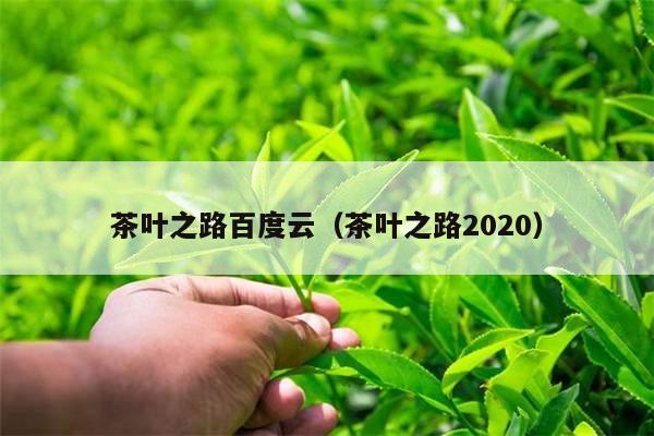 茶叶之路百度云（茶叶之路2020）