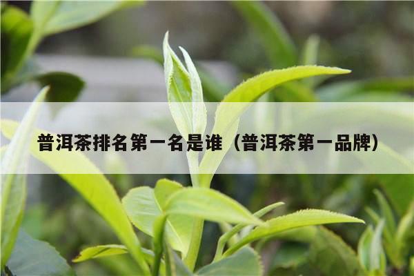 普洱茶排名第一名是谁（普洱茶第一品牌）