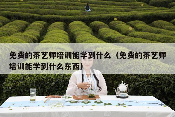 免费的茶艺师培训能学到什么（免费的茶艺师培训能学到什么东西）