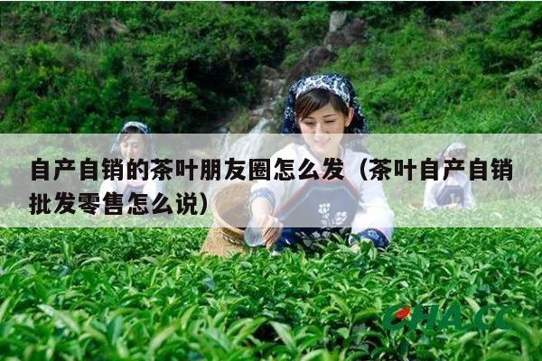 自产自销的茶叶朋友圈怎么发（茶叶自产自销批发零售怎么说）