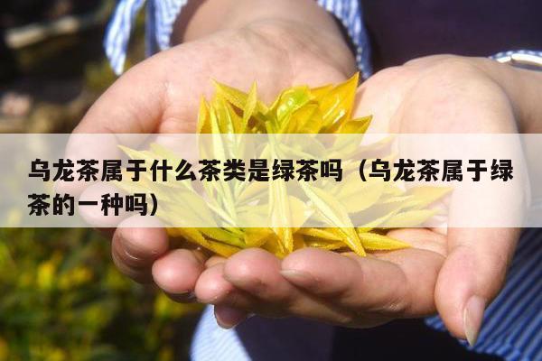 乌龙茶属于什么茶类是绿茶吗（乌龙茶属于绿茶的一种吗）