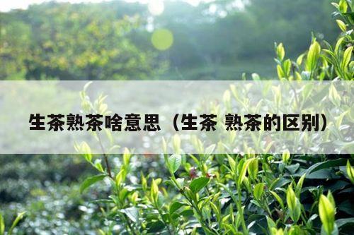 生茶熟茶啥意思（生茶 熟茶的区别）