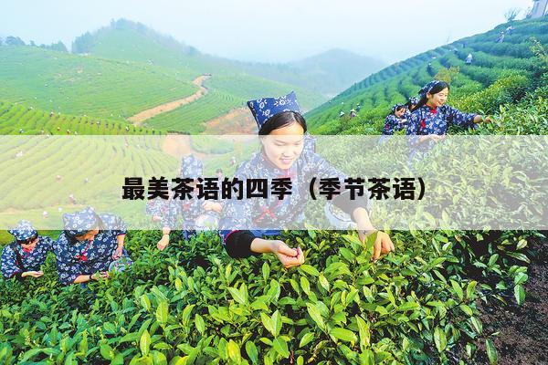 最美茶语的四季（季节茶语）