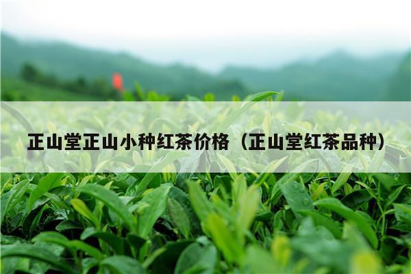 正山堂正山小种红茶价格（正山堂红茶品种）