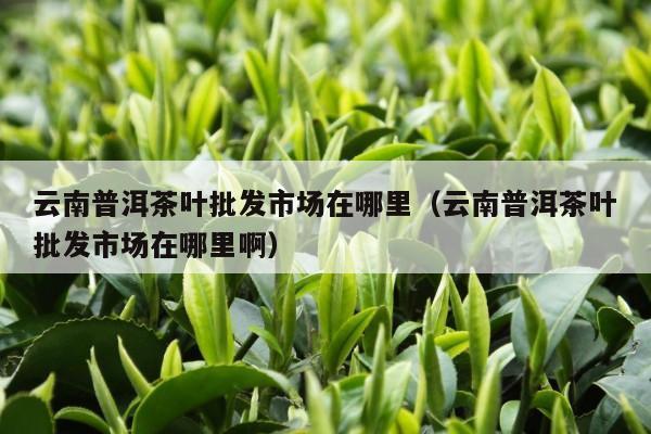 云南普洱茶叶批发市场在哪里（云南普洱茶叶批发市场在哪里啊）