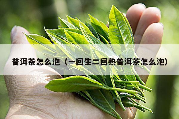 普洱茶怎么泡（一回生二回熟普洱茶怎么泡）