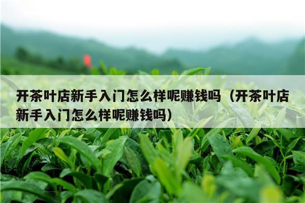 开茶叶店新手入门怎么样呢赚钱吗（开茶叶店新手入门怎么样呢赚钱吗）