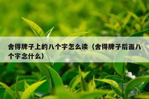 舍得牌子上的八个字怎么读（舍得牌子后面八个字念什么）