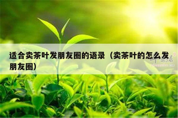 适合卖茶叶发朋友圈的语录（卖茶叶的怎么发朋友圈）