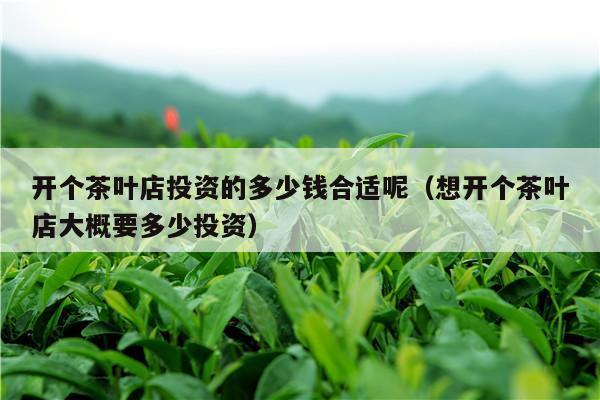 开个茶叶店投资的多少钱合适呢（想开个茶叶店大概要多少投资）