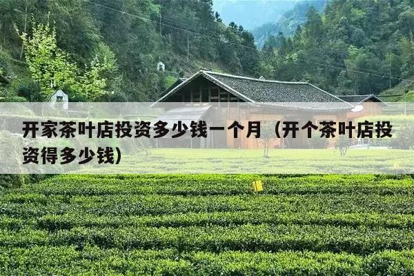 开家茶叶店投资多少钱一个月（开个茶叶店投资得多少钱）