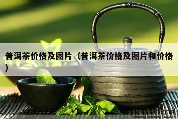 普洱茶价格及图片（普洱茶价格及图片和价格）