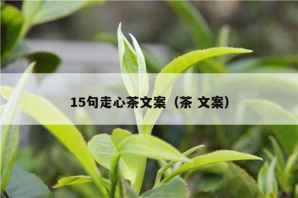 15句走心茶文案（茶 文案）