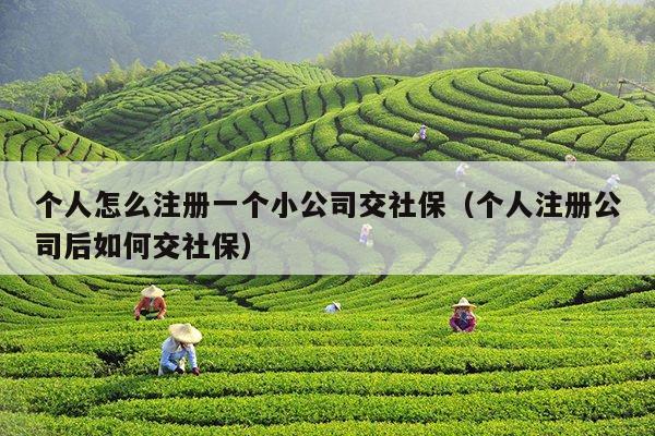 个人怎么注册一个小公司交社保（个人注册公司后如何交社保）