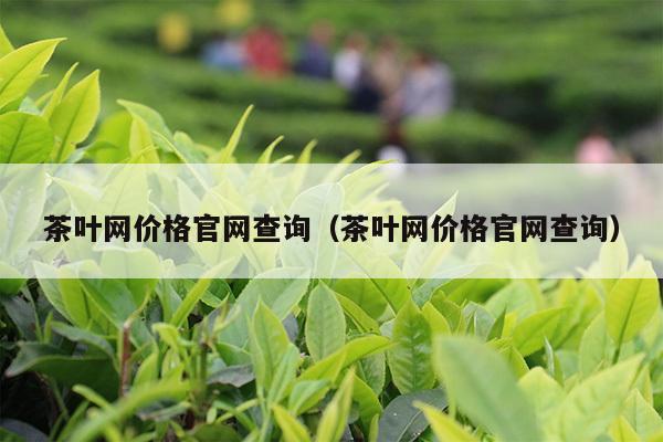 茶叶网价格官网查询（茶叶网价格官网查询）