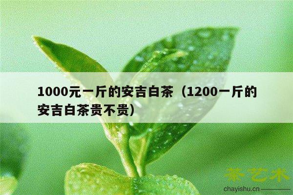 1000元一斤的安吉白茶（1200一斤的安吉白茶贵不贵）