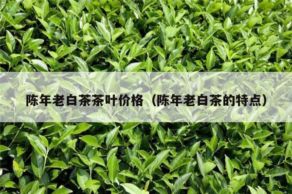 陈年老白茶茶叶价格（陈年老白茶的特点）