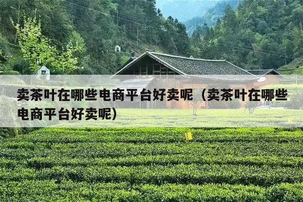 卖茶叶在哪些电商平台好卖呢（卖茶叶在哪些电商平台好卖呢）