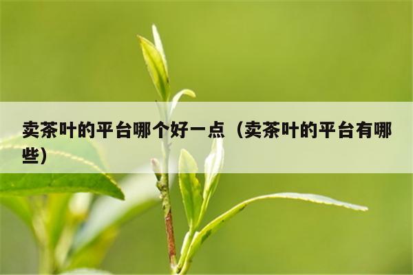 卖茶叶的平台哪个好一点（卖茶叶的平台有哪些）