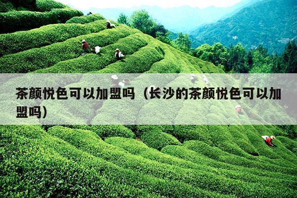 茶颜悦色可以加盟吗（长沙的茶颜悦色可以加盟吗）