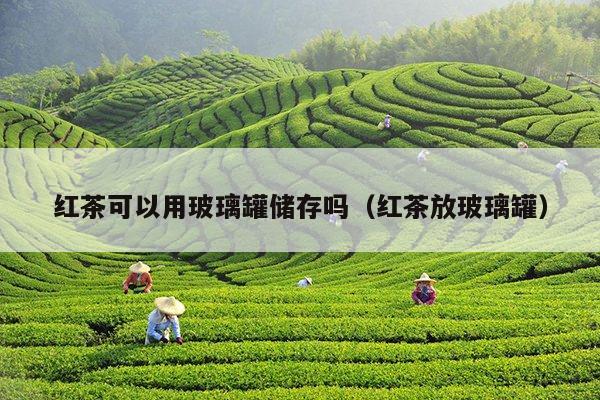 红茶可以用玻璃罐储存吗（红茶放玻璃罐）