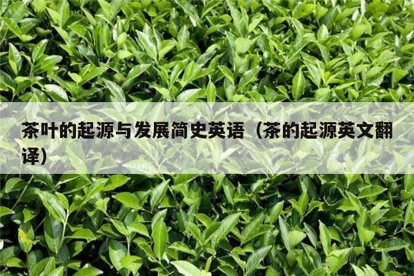 茶叶的起源与发展简史英语（茶的起源英文翻译）