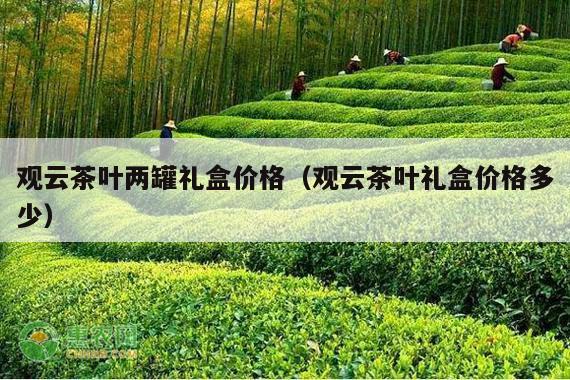 观云茶叶两罐礼盒价格（观云茶叶礼盒价格多少）