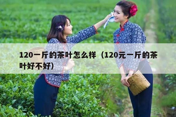 120一斤的茶叶怎么样（120元一斤的茶叶好不好）