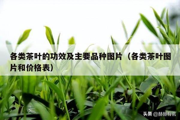 各类茶叶的功效及主要品种图片（各类茶叶图片和价格表）