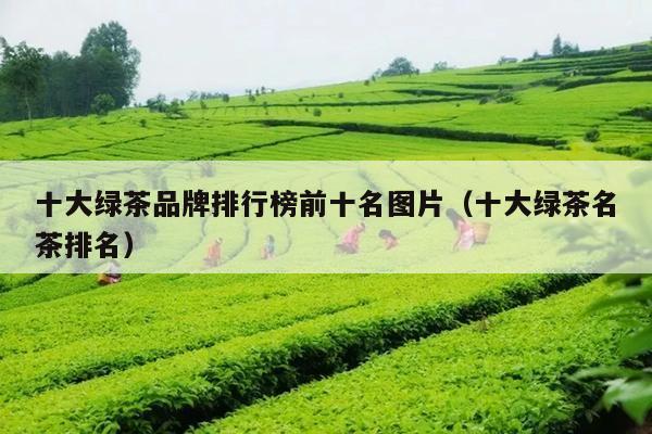 十大绿茶品牌排行榜前十名图片（十大绿茶名茶排名）