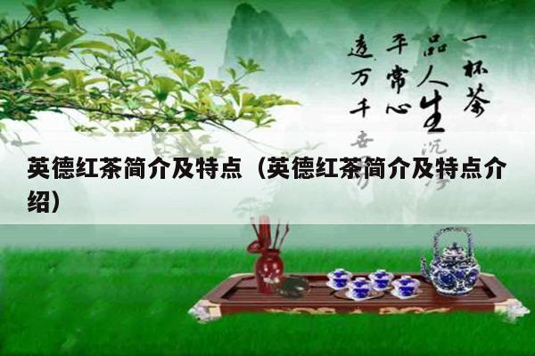 英德红茶简介及特点（英德红茶简介及特点介绍）