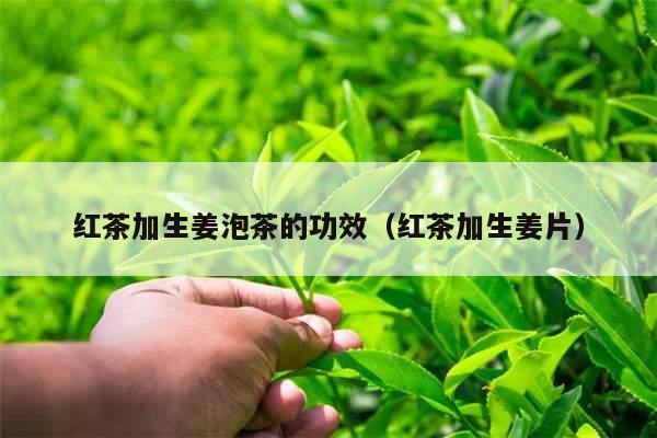 红茶加生姜泡茶的功效（红茶加生姜片）