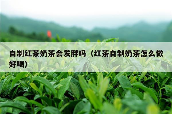 自制红茶奶茶会发胖吗（红茶自制奶茶怎么做好喝）